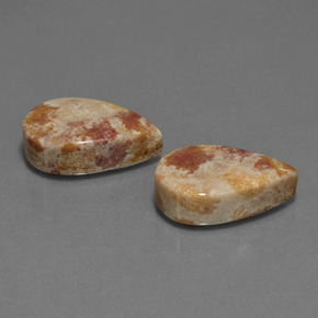 أحجار مرجان أحفوري متعدد الألوان طبيعية، شكل الكمثرى، غير شفاف، وزنها  قيراط