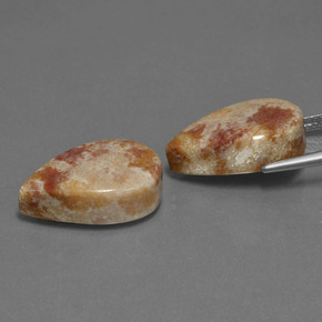 أحجار مرجان أحفوري متعدد الألوان طبيعية، شكل الكمثرى، غير شفاف، وزنها  قيراط