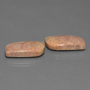 أحجار مرجان حجرى متعدد الألوان طبيعية، شكل خيالي، غير شفاف، وزنها  قيراط