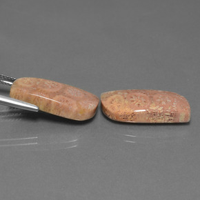 أحجار مرجان حجرى متعدد الألوان طبيعية، شكل خيالي، غير شفاف، وزنها  قيراط