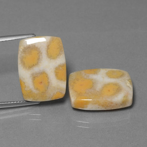 أحجار مرجان حجرى متعدد الألوان طبيعية، قطع وسادة، غير شفاف، وزنها  قيراط