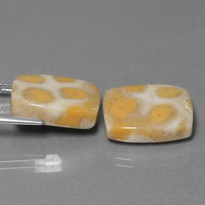 أحجار مرجان حجرى متعدد الألوان طبيعية، قطع وسادة، غير شفاف، وزنها  قيراط