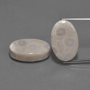 أحجار مرجان حجرى متعدد الألوان طبيعية، قصة بيضاوى، غير شفاف، وزنها  قيراط