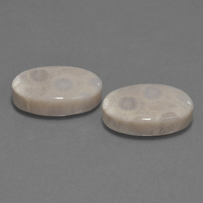 أحجار مرجان حجرى متعدد الألوان طبيعية، قصة بيضاوى، غير شفاف، وزنها  قيراط