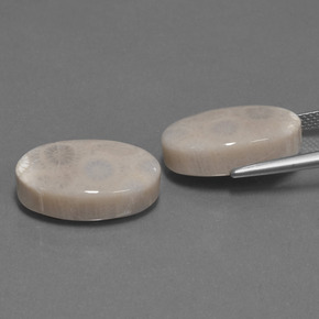 أحجار مرجان حجرى متعدد الألوان طبيعية، قصة بيضاوى، غير شفاف، وزنها  قيراط