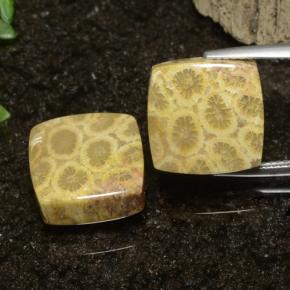 مرجان أحفوري طبيعي بلون متعدد الألوان، وزن ‎22.09‎ قيراط، شكل مربع، مقاس ‎13.5x13.2‎ مم