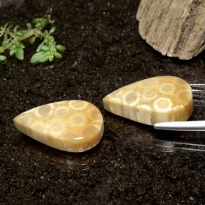 أحجار مرجان حجرى متعدد الألوان طبيعية، شكل الكمثرى، غير شفاف، وزنها 28.50 قيراط