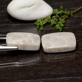 أحجار مرجان حجرى متعدد الألوان طبيعية، قطع وسادة، غير شفاف، وزنها 25.59 قيراط