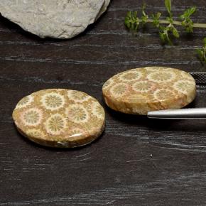 أحجار مرجان حجرى متعدد الألوان طبيعية، قصة بيضاوى، غير شفاف، وزنها 29.50 قيراط