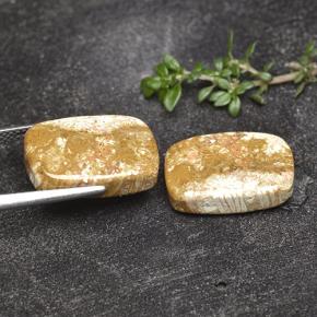 أحجار مرجان حجرى متعدد الألوان طبيعية، قطع وسادة، غير شفاف، وزنها 16.41 قيراط