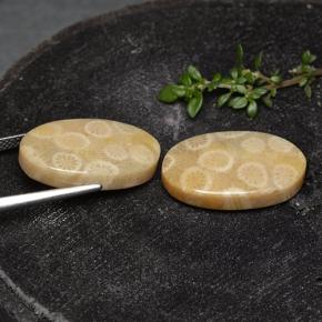 أحجار مرجان حجرى متعدد الألوان طبيعية، قصة بيضاوى، غير شفاف، وزنها 24.38 قيراط