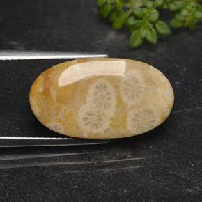 مرجان حجرى متعدد الألوان طبيعي، قصة بيضاوى، 11.06 قيراط، غير شفاف