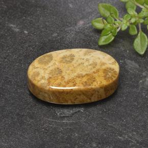 مرجان حجرى متعدد الألوان طبيعي، قصة بيضاوى، 14.69 قيراط، غير شفاف