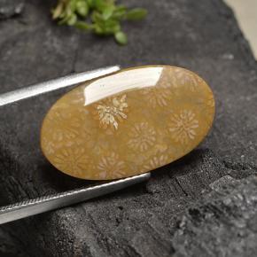 مرجان حجرى متعدد الألوان طبيعي، قصة بيضاوى، 10.75 قيراط، غير شفاف