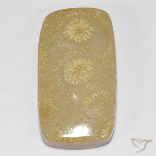 14.52ct طبيعي متعدد الألوان مرجان حجرى, وسادة, غير شفاف
