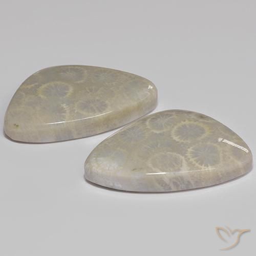 أحجار مرجان حجرى متعدد الألوان طبيعية، شكل خيالي، غير شفاف، وزنها 27.77 قيراط