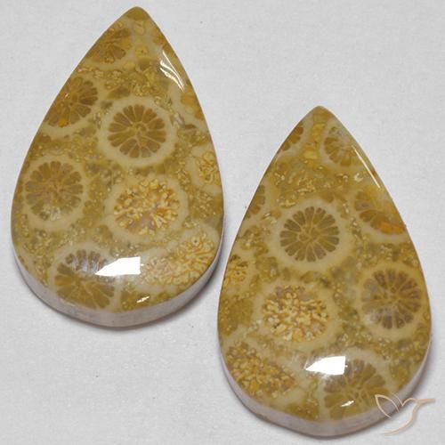 أحجار مرجان حجرى متعدد الألوان طبيعية، شكل الكمثرى، غير شفاف، وزنها 17.56 قيراط