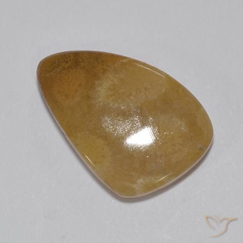 8.15ct طبيعي متعدد الألوان مرجان حجرى, فانسى, غير شفاف