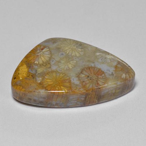 مرجان حجرى متعدد الألوان طبيعي، شكل خيالي، 11.00 قيراط، غير شفاف