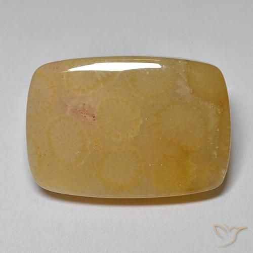 16.47ct طبيعي متعدد الألوان مرجان حجرى, وسادة, غير شفاف