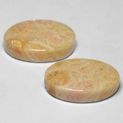 مرجان أحفوري طبيعي بلون متعدد الألوان، وزن ‎21.02‎ قيراط، شكل بيضاوى، مقاس ‎18.3x12.6‎ مم