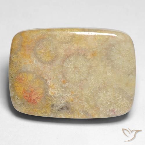 17.45ct طبيعي متعدد الألوان مرجان حجرى, وسادة, غير شفاف