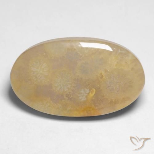 10.66ct طبيعي متعدد الألوان مرجان حجرى, بيضوي, غير شفاف