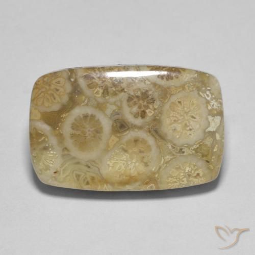 9.53ct طبيعي متعدد الألوان مرجان حجرى, وسادة, غير شفاف