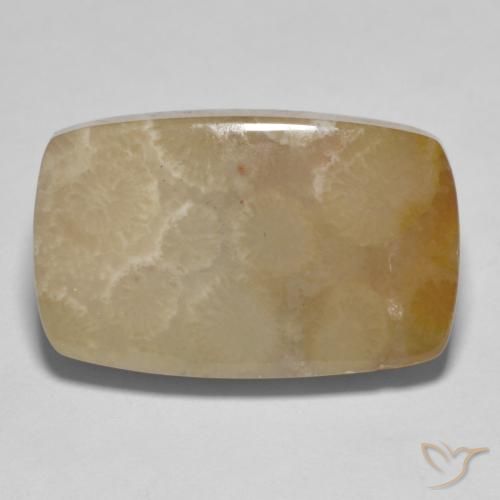 16.72ct طبيعي متعدد الألوان مرجان حجرى, وسادة, غير شفاف