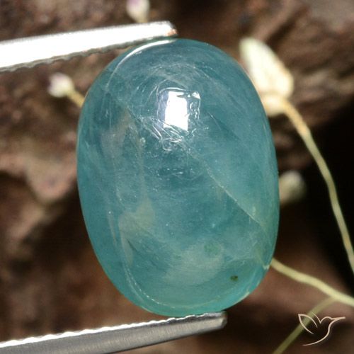 6.02ct طبيعي أخضر أزرق داكن-متوسط غرانديديريت, بيضوي, نصف شفاف