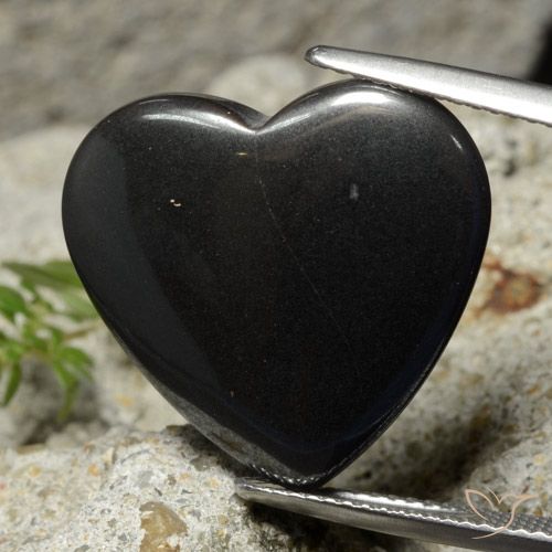 23.29ct طبيعي رمادة أسود هيماتيت حجر الدم, قلب, غير شفاف