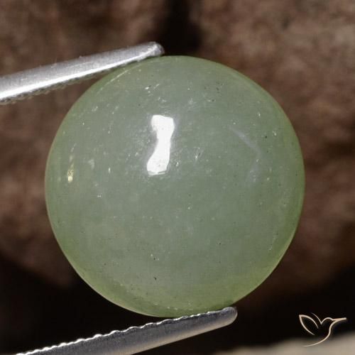 7.56ct طبيعي أخضر طحلبى رمادى اليشمك, دائري, نصف شفاف
