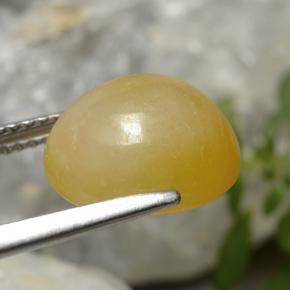 اليشمك ذهبى أصفر طبيعي، قصة بيضاوى، 7.08 قيراط، نصف شفاف