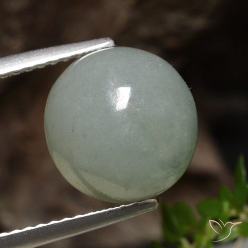 6.51ct طبيعي أخضر الغابة باهت اليشمك, دائري, نصف شفاف