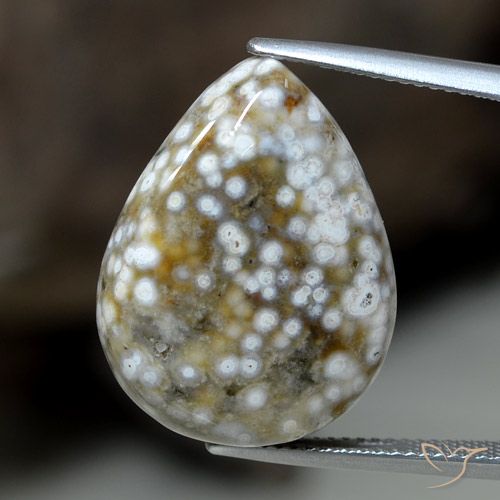 23.63ct طبيعي متعدد الألوان يشب أو جاسبر, شكل الكمثرى, غير شفاف