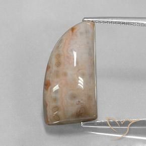 12.74ct طبيعي متعدد الألوان يشب أو جاسبر, فانسى, غير شفاف