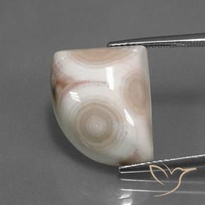14.17ct طبيعي متعدد الألوان يشب أو جاسبر, فانسى, غير شفاف