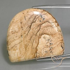 33.01ct طبيعي متعدد الألوان يشب أو جاسبر, فانسى, غير شفاف