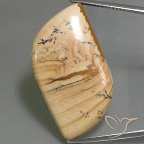 45.75ct طبيعي متعدد الألوان يشب أو جاسبر, فانسى, غير شفاف