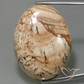 44.54ct طبيعي متعدد الألوان يشب أو جاسبر, بيضوي, غير شفاف