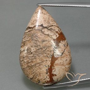 36.58ct طبيعي متعدد الألوان يشب أو جاسبر, شكل الكمثرى, غير شفاف