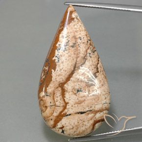 43.77ct طبيعي متعدد الألوان يشب أو جاسبر, شكل الكمثرى, غير شفاف