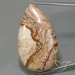 73.69ct طبيعي متعدد الألوان يشب أو جاسبر, شكل الكمثرى, غير شفاف