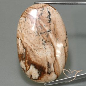 40.77ct طبيعي متعدد الألوان يشب أو جاسبر, بيضوي, غير شفاف