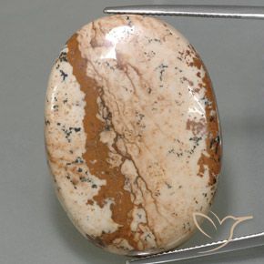 54.96ct طبيعي متعدد الألوان يشب أو جاسبر, بيضوي, غير شفاف