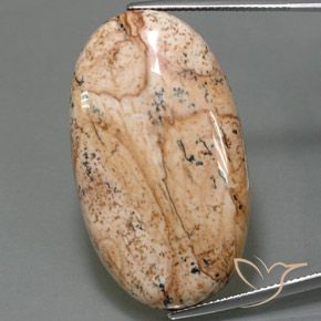 49.05ct طبيعي متعدد الألوان يشب أو جاسبر, بيضوي, غير شفاف
