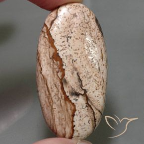 55.96ct طبيعي متعدد الألوان يشب أو جاسبر, بيضوي, غير شفاف