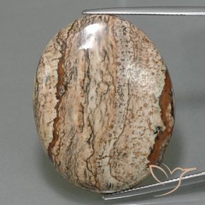 49.58ct طبيعي متعدد الألوان يشب أو جاسبر, بيضوي, غير شفاف