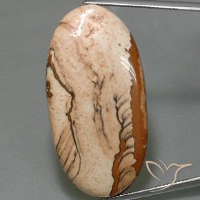 44.16ct طبيعي متعدد الألوان يشب أو جاسبر, بيضوي, غير شفاف
