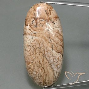 44.33ct طبيعي متعدد الألوان يشب أو جاسبر, بيضوي, غير شفاف